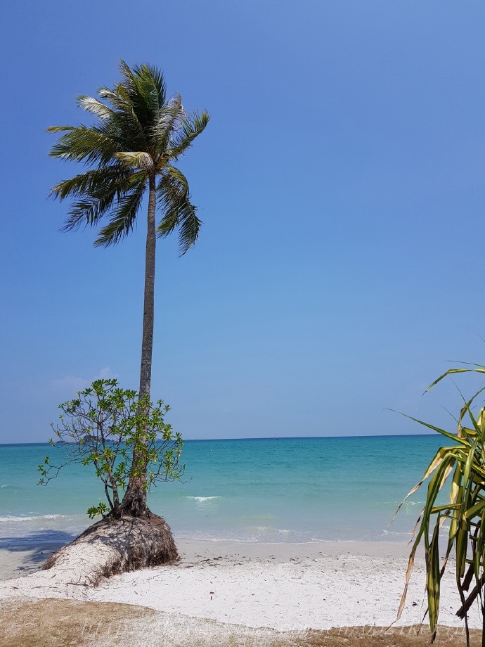 云顶邮轮-031.jpeg 云顶邮轮 031