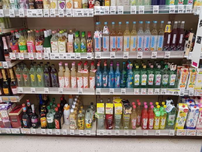 京都去境港-30.jpeg 京都去境港 30