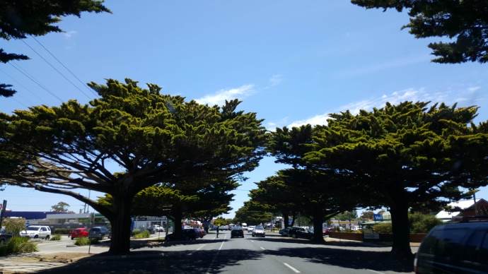 企鹅岛-01.jpeg 企鹅岛 01