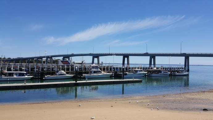 企鹅岛-04.jpeg 企鹅岛 04