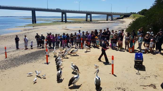 企鹅岛-05.jpeg 企鹅岛 05