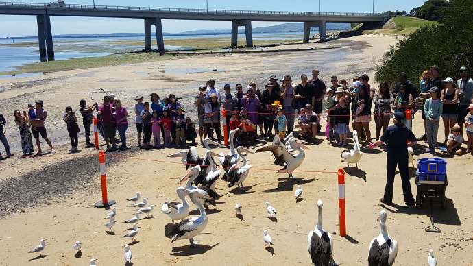 企鹅岛-06.jpeg 企鹅岛 06