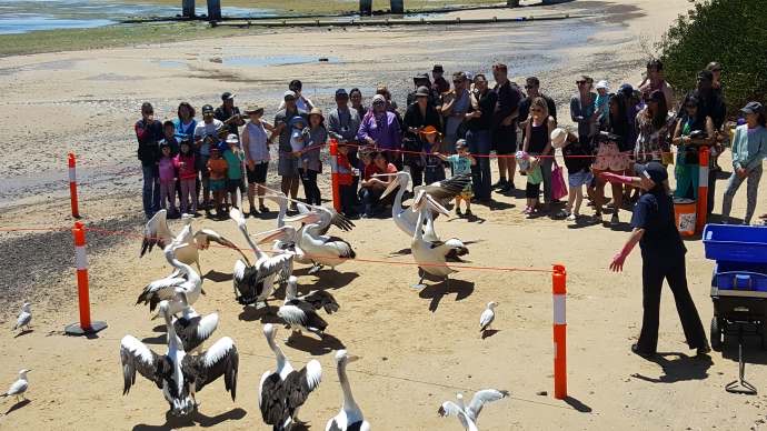 企鹅岛-07.jpeg 企鹅岛 07