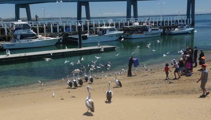 企鹅岛-08.jpeg 企鹅岛 08