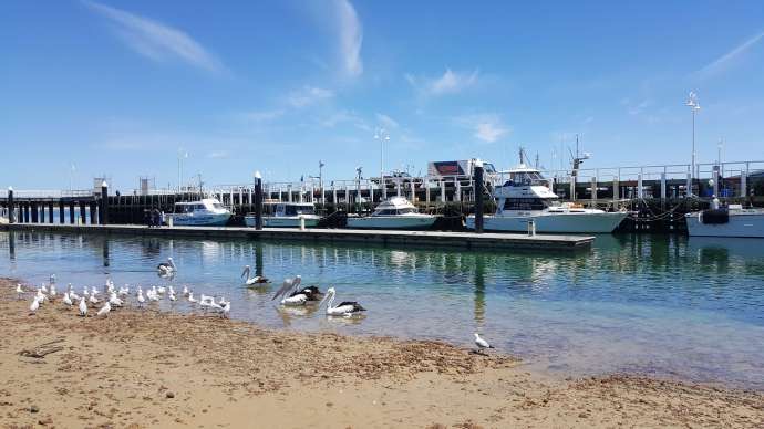 企鹅岛-09.jpeg 企鹅岛 09