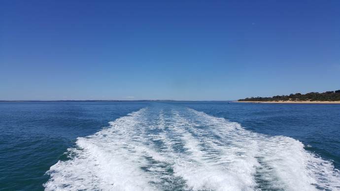 企鹅岛-11.jpeg 企鹅岛 11