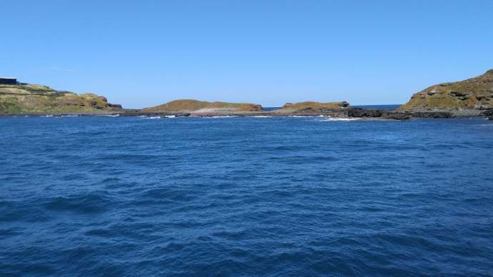 企鹅岛-12.jpeg 企鹅岛 12