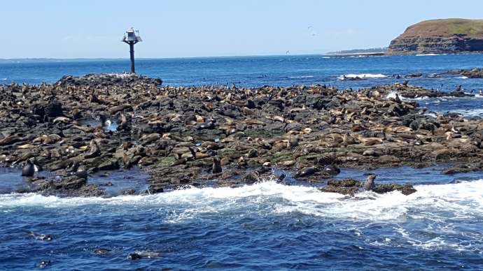 企鹅岛-14.jpeg 企鹅岛 14