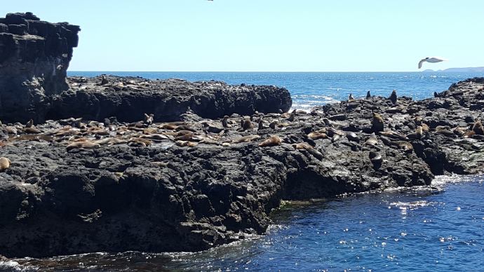 企鹅岛-15.jpeg 企鹅岛 15