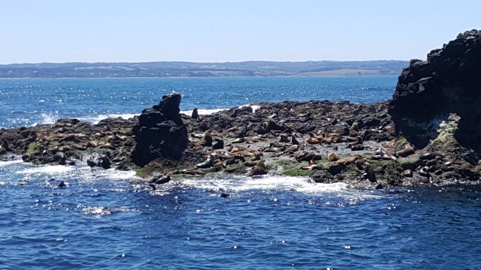 企鹅岛-16.jpeg 企鹅岛 16