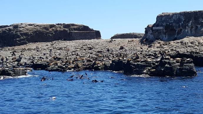 企鹅岛-17.jpeg 企鹅岛 17