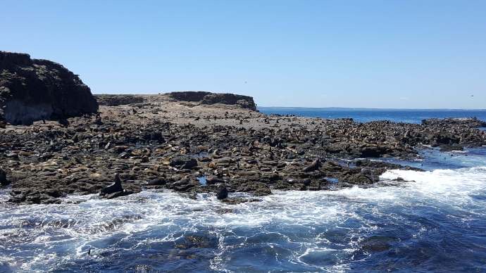 企鹅岛-20.jpeg 企鹅岛 20