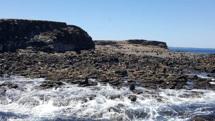 企鹅岛-21.jpeg 企鹅岛 21