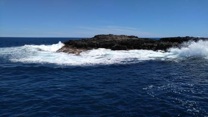 企鹅岛-22.jpeg 企鹅岛 22