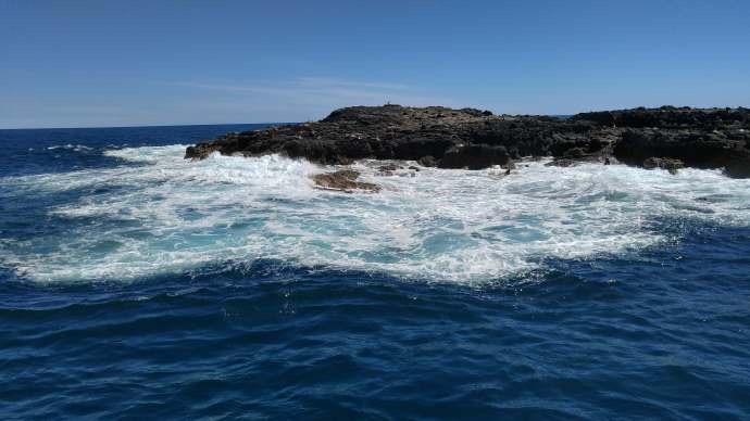 企鹅岛-23.jpeg 企鹅岛 23