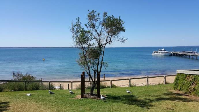 企鹅岛-29.jpeg 企鹅岛 29