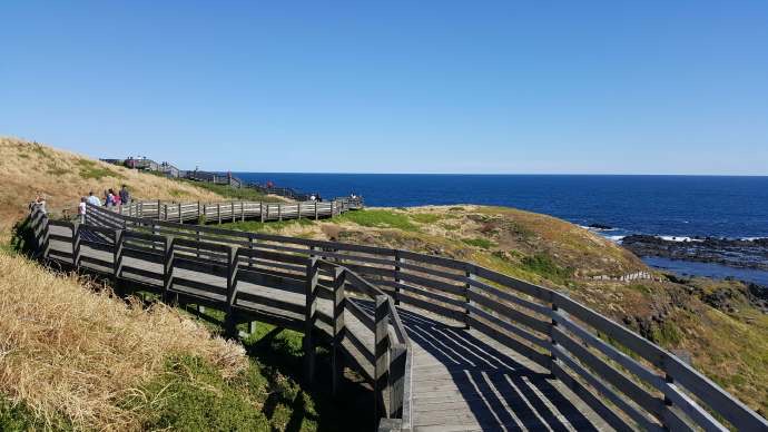 企鹅岛-32.jpeg 企鹅岛 32