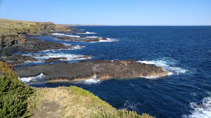 企鹅岛-33.jpeg 企鹅岛 33