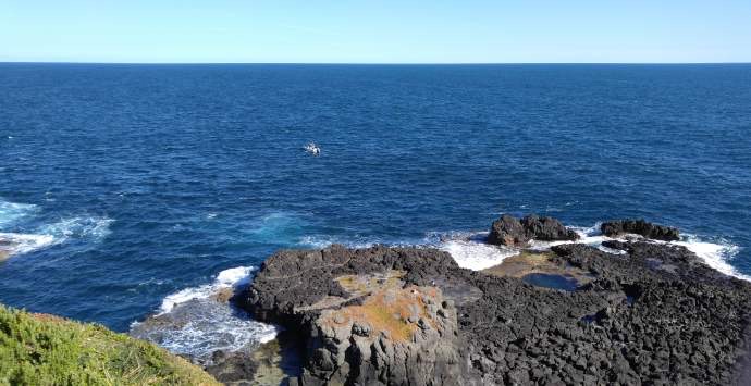 企鹅岛-34.jpeg 企鹅岛 34