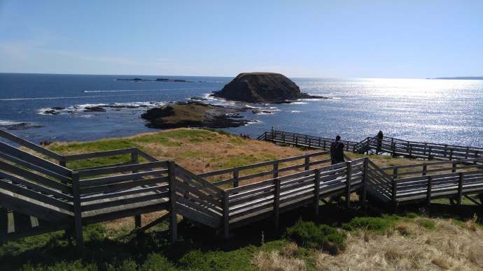 企鹅岛-35.jpeg 企鹅岛 35