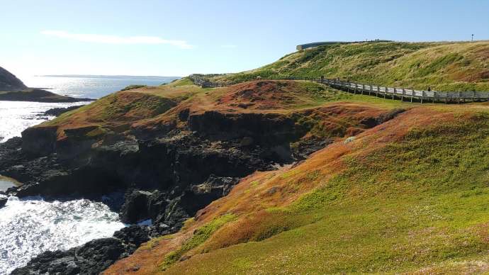 企鹅岛-36.jpeg 企鹅岛 36