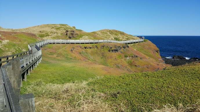 企鹅岛-37.jpeg 企鹅岛 37