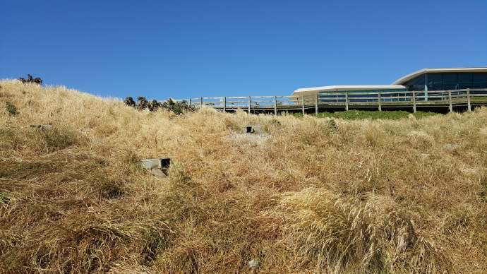 企鹅岛-38.jpeg 企鹅岛 38