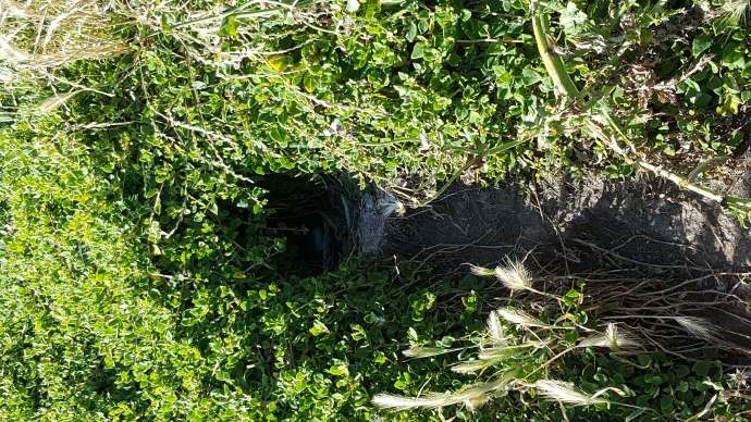 企鹅岛-40.jpeg 企鹅岛 40