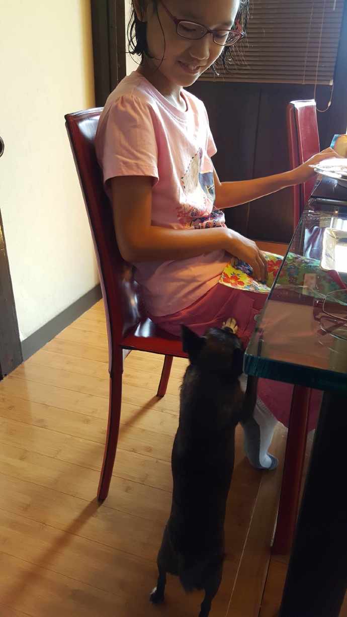 伊豆七源-005.jpeg 伊豆七源 005