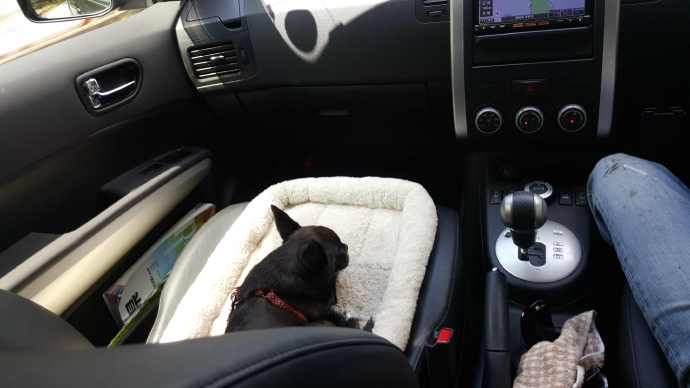 伊豆七源-006.jpeg 伊豆七源 006