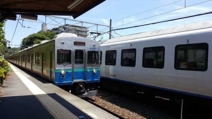 伊豆七源-018.jpeg 伊豆七源 018