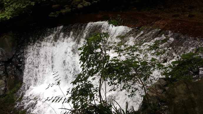 伊豆七源-024.jpeg 伊豆七源 024