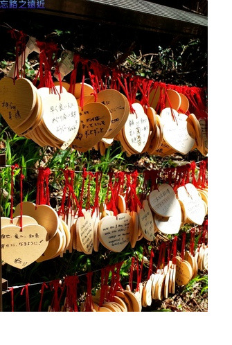 伊豆七源-027.jpeg 伊豆七源 027