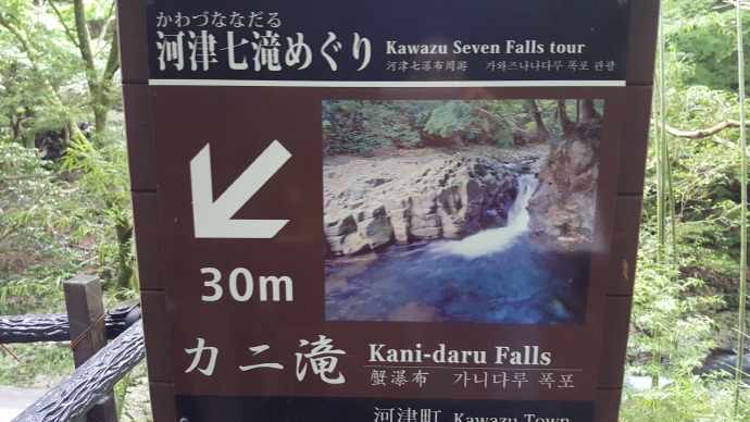 伊豆七源-029.jpeg 伊豆七源 029