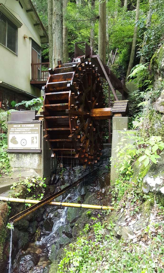 伊豆七源-034.jpeg 伊豆七源 034