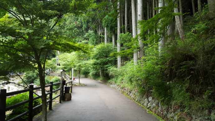 伊豆七源-035.jpeg 伊豆七源 035