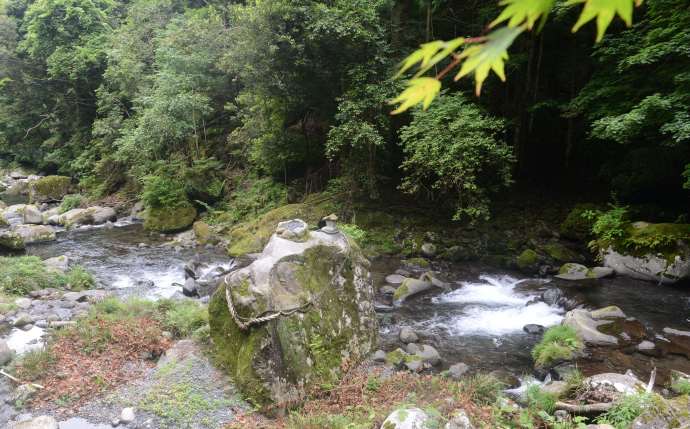 伊豆七源-037.jpeg 伊豆七源 037