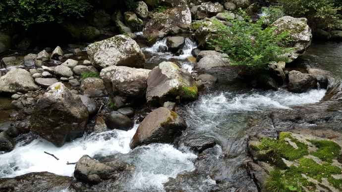 伊豆七源-042.jpeg 伊豆七源 042