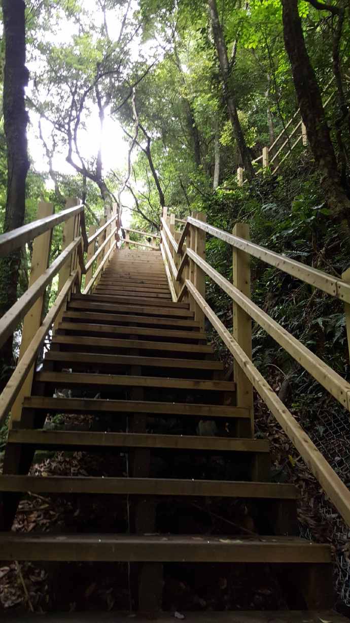 伊豆七源-043.jpeg 伊豆七源 043