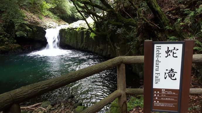 伊豆七源-045.jpeg 伊豆七源 045