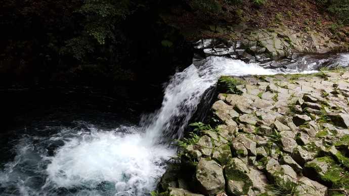 伊豆七源-046.jpeg 伊豆七源 046