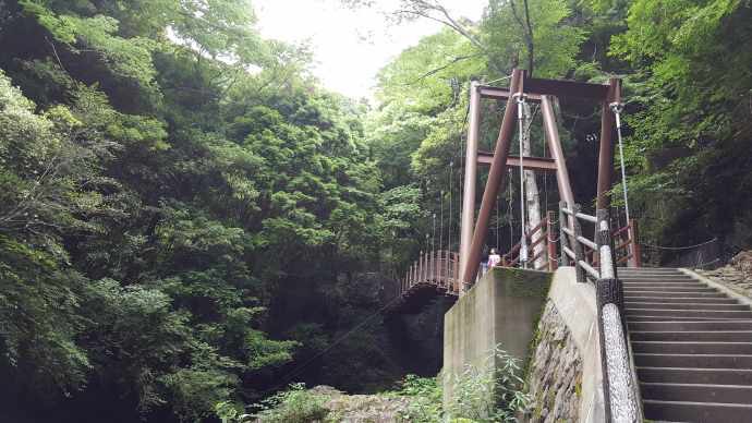 伊豆七源-048.jpeg 伊豆七源 048