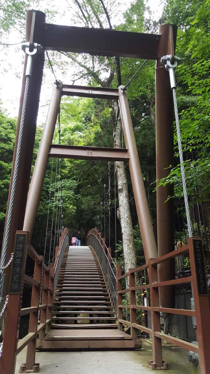 伊豆七源-049.jpeg 伊豆七源 049