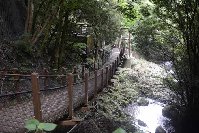 伊豆七源-050.jpeg 伊豆七源 050