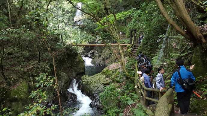 伊豆七源-051.jpeg 伊豆七源 051