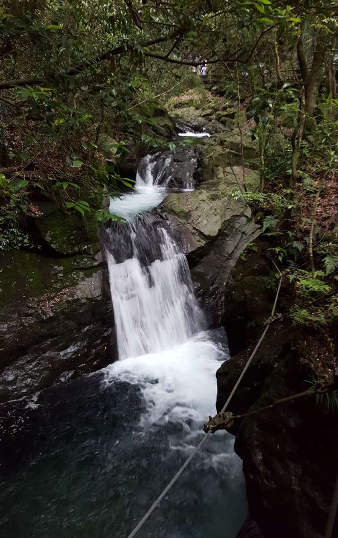 伊豆七源-052.jpeg 伊豆七源 052