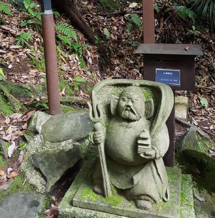 伊豆七源-058.jpeg 伊豆七源 058