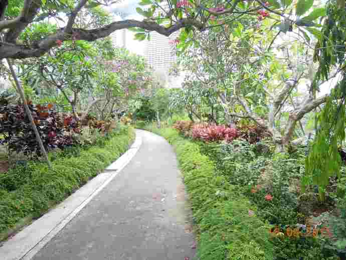 南花园-09.jpeg 南花园 09