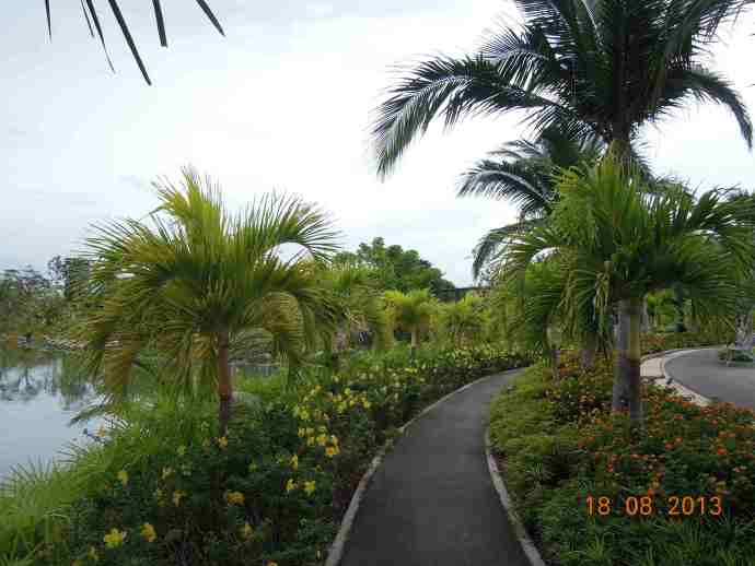 南花园-10.jpeg 南花园 10