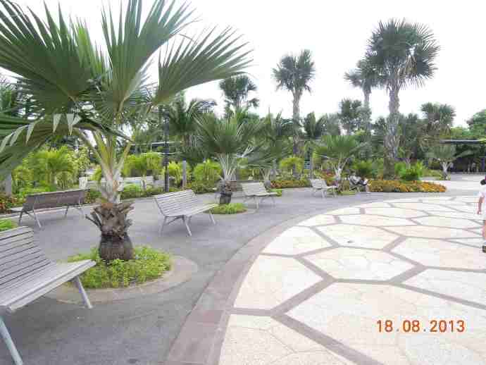 南花园-11.jpeg 南花园 11